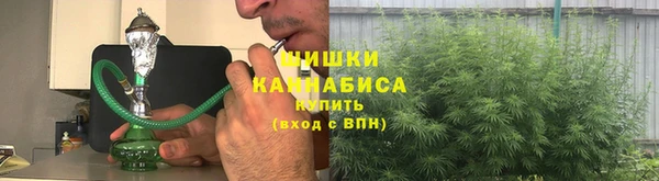 spice Алексин