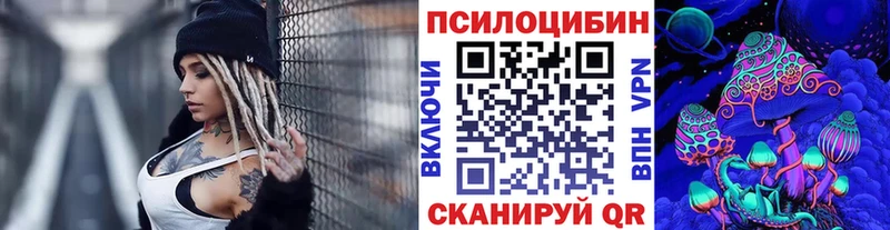 МЕГА маркетплейс  Копейск  Псилоцибиновые грибы Psilocybine cubensis 